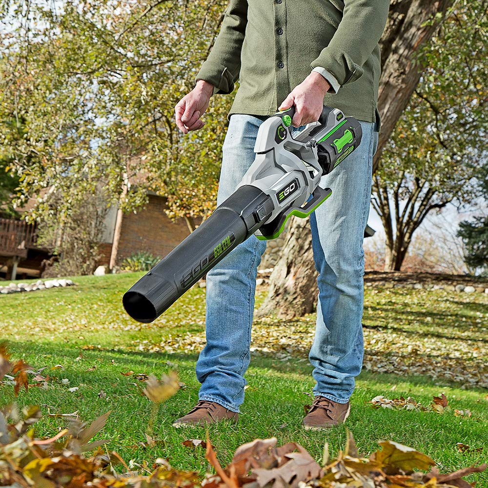 EGO POWER+ Cordless Electric Leaf Blower, 650 CFM, With Battery - LB6504